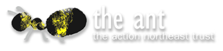 The ANT